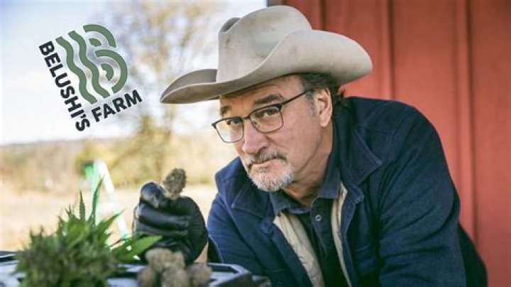 Jim Belushi's Farm Flourishes: Unveiling His Net Worth