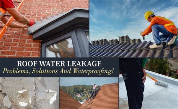 Tips For Avoiding Leaks | Brookemarkhaa Leak
